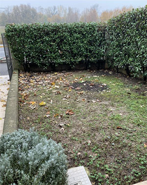 giardino-prima-di-essere-tagliato-e-pulito